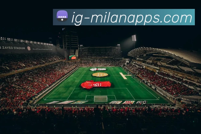 多媒体互动体验